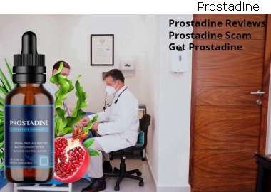 Prostadine Main Ingredients